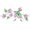 New Violet Wall Stencil Border | 2609 by Designer Stencils | Floral Stencils | Reusable Art Craft Stencils for Painting on Walls, Canvas, Wood | Reusable Plastic Paint Stencil for Home Makeover | Easy to Use & Clean Art Stencil